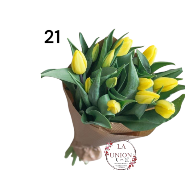 Hermoso Ramo de mano  con 12 tulipanes,