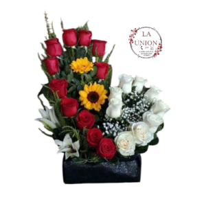 Hermoso corazón rojo y blanco