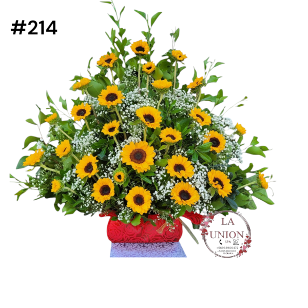 30 hermos girasoles