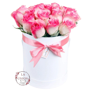 Hermosa caja 20 rosas