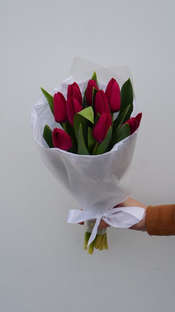 10 HERMOSOS TULIPANES