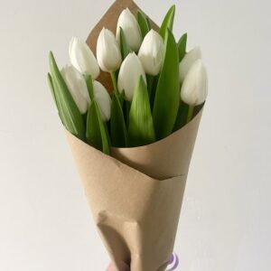 Hermosos 10 tulipanes