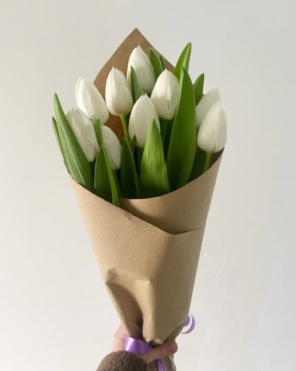 Hermosos 10 tulipanes