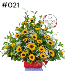 Arrimo en girasoles
