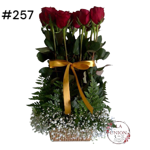 hermoso arreglo de 12 rosas en serie