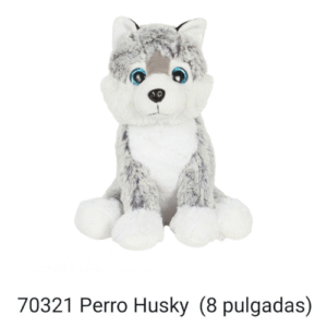 lindo perrito husky