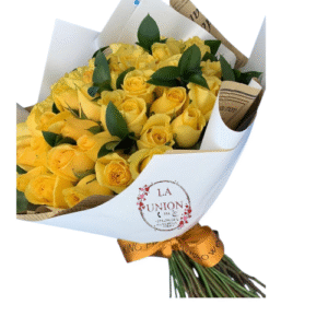50 hermosas rosas