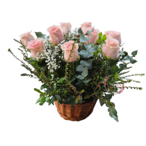 HERMOSO CANASTO DE 12 ROSAS