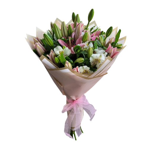 20 HERMOSAS FLORES ENTRE LILIUM Y HASTROMELIAS