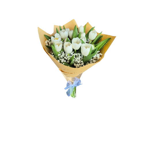 Hermoso ramo de 16 tulipanes