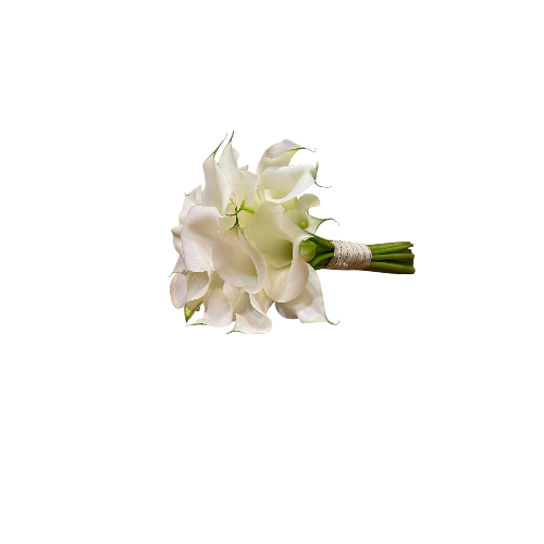 20 hermosas calas - Imagen 2