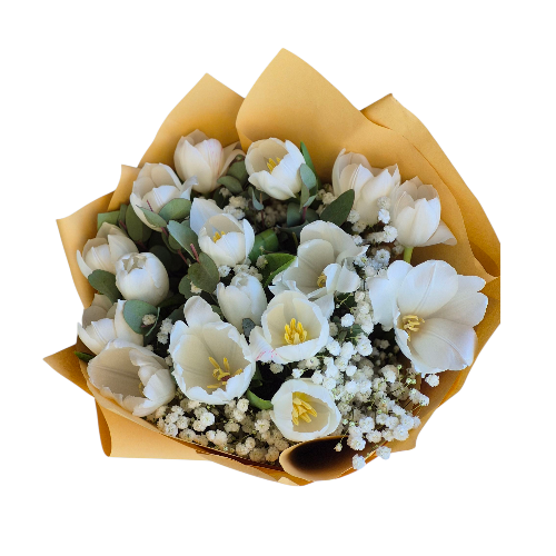 RAMO DE MANO 20 TULIPANES BLANCOS+PELUCHE - Imagen 2