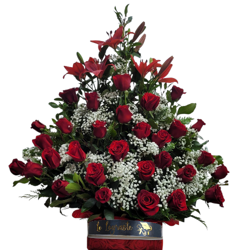 40 HERMOSAS FLORES ROJAS