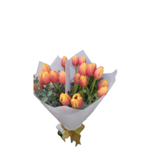 ramo de mano 20 tulipanes