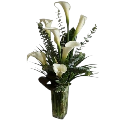 7 HERMOSAS CALAS + FLORERO