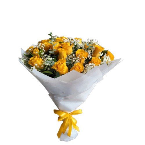 HERMOSO ARREGLO DE 25 ROSAS