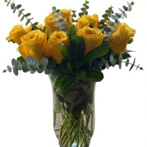 HERMOSO ARREGLO CON 20 ROSAS