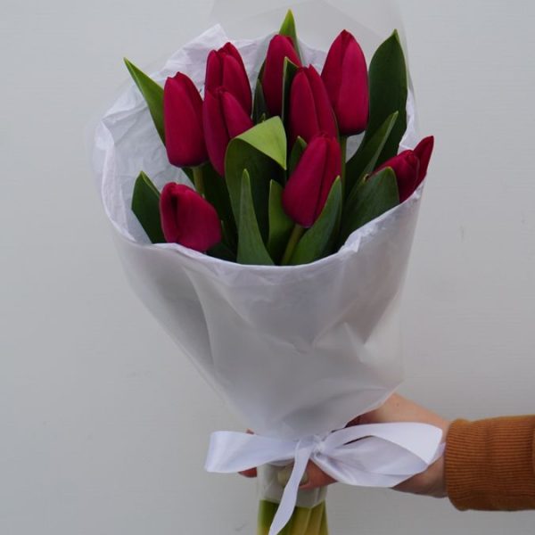 10 HERMOSOS TULIPANES