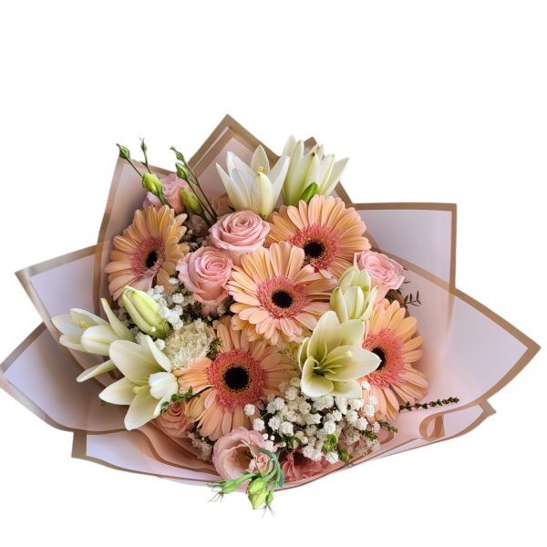 20260127_142420-Photoroom