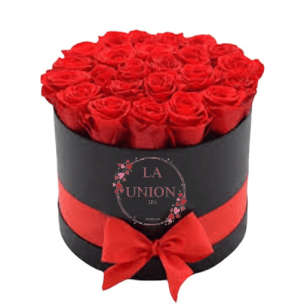 Diseño sin título (19)