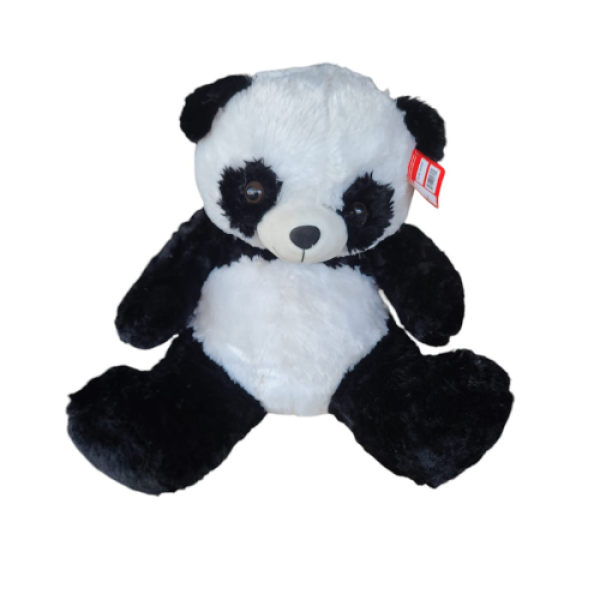 Diseño sin título - 2025-02-12T175953.719