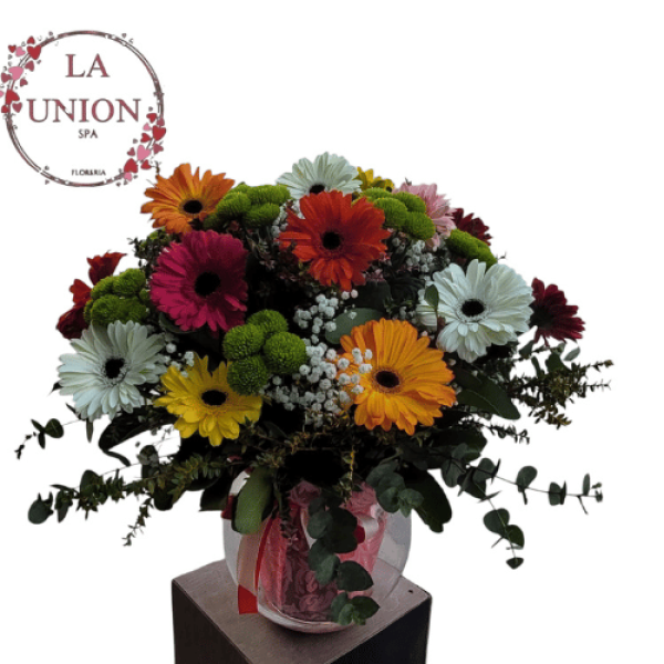 Diseño sin título (22)