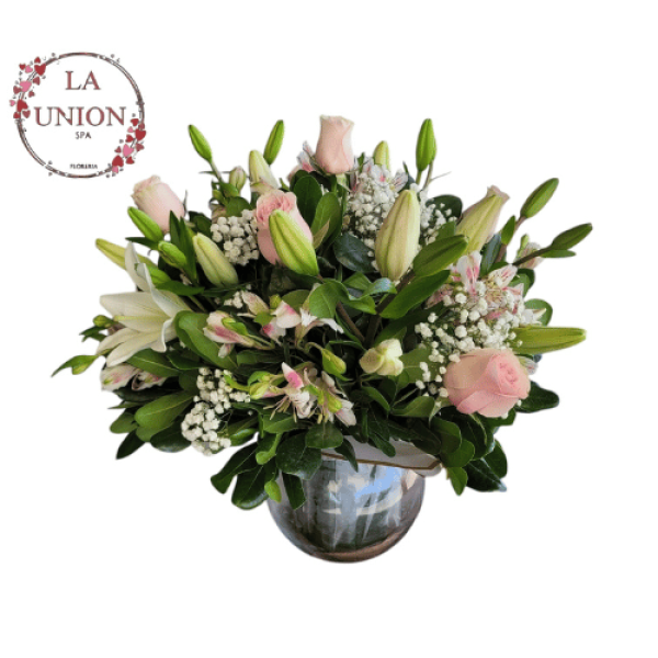 Diseño sin título (24)