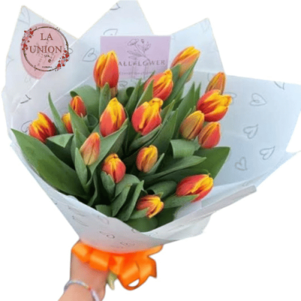 Diseño sin título (44)