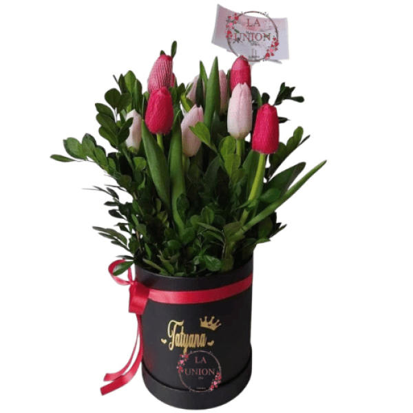 Diseño sin título (47)