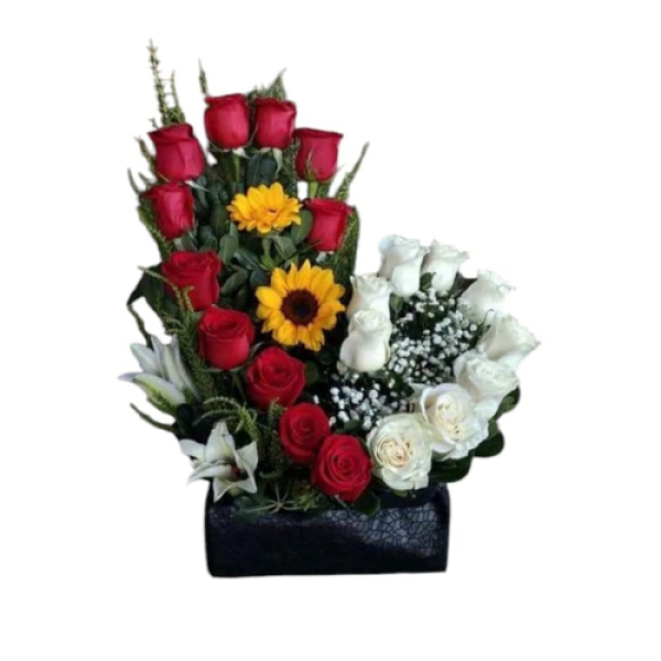 Diseño sin título (87)