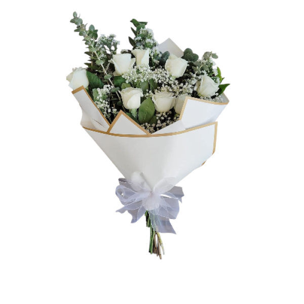 IMG-20250924-WA0070(1)-Photoroom (2)