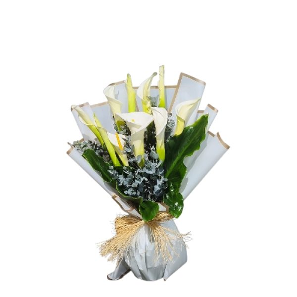 IMG-20260708-WA0068