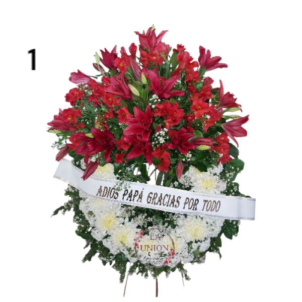 Photoroom-20250218_153629_1