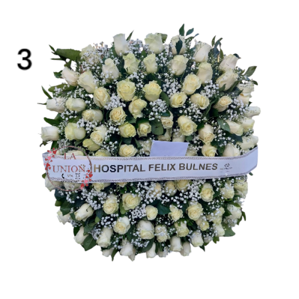 Photoroom-20250218_153629_3