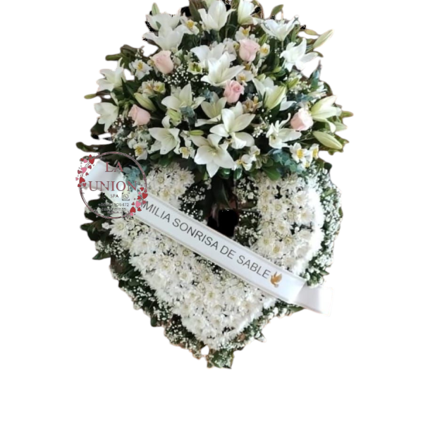 Photoroom-20250218_153630_14