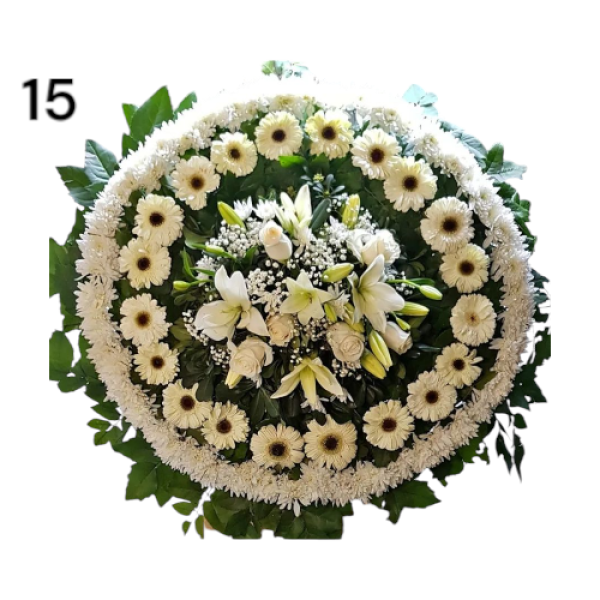 Photoroom-20250218_153630_15