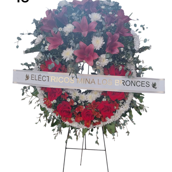 Photoroom-20250218_153630_18