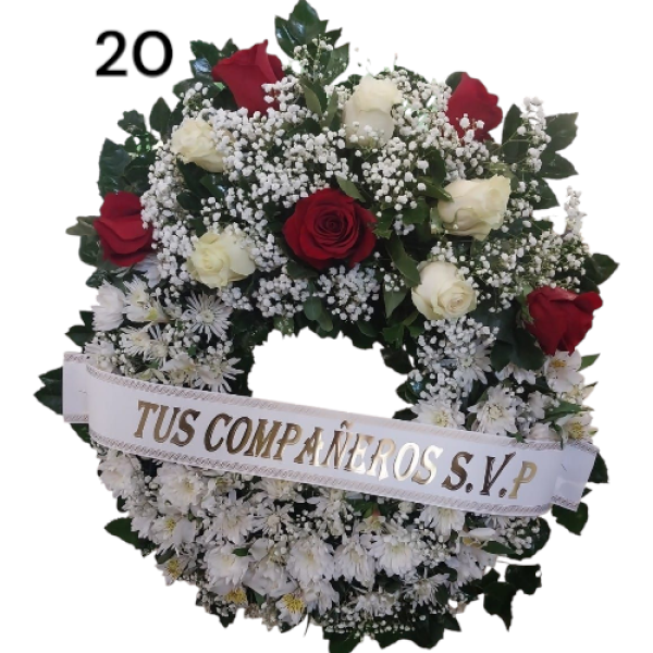 Photoroom-20250218_153631_20