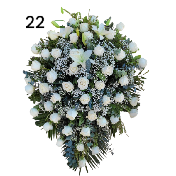 Photoroom-20250218_153631_22