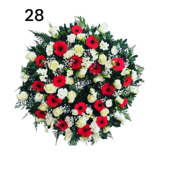 Photoroom-20250218_153631_28