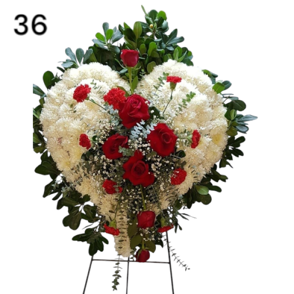 Photoroom-20250218_153631_36