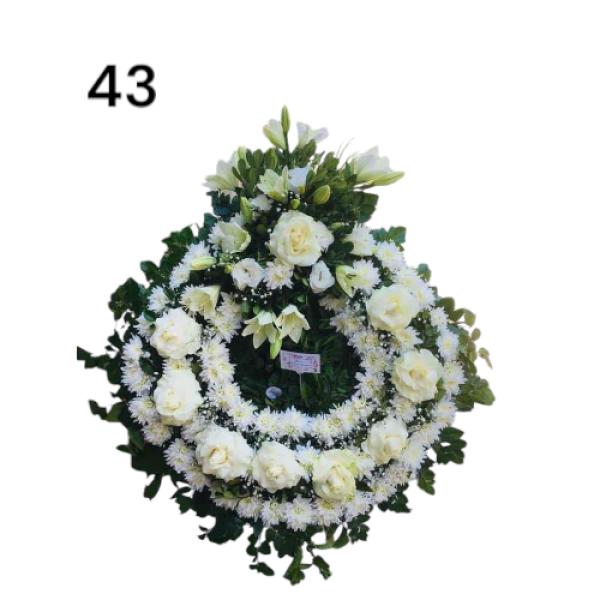 Photoroom-20250218_153632_43