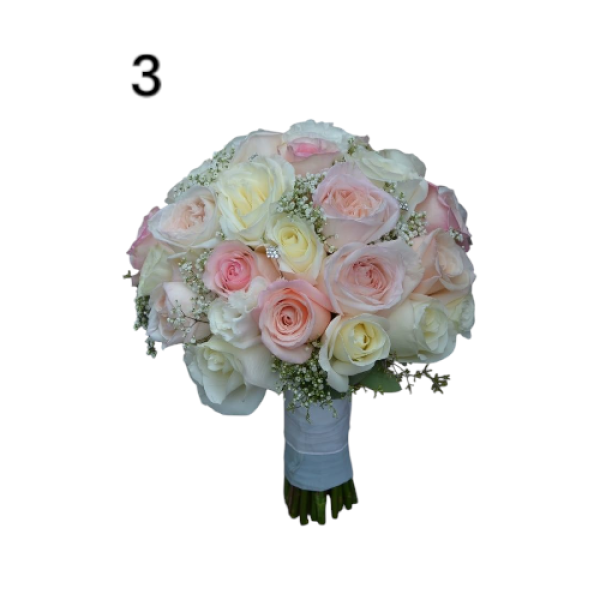 Photoroom-20250221_002059_3