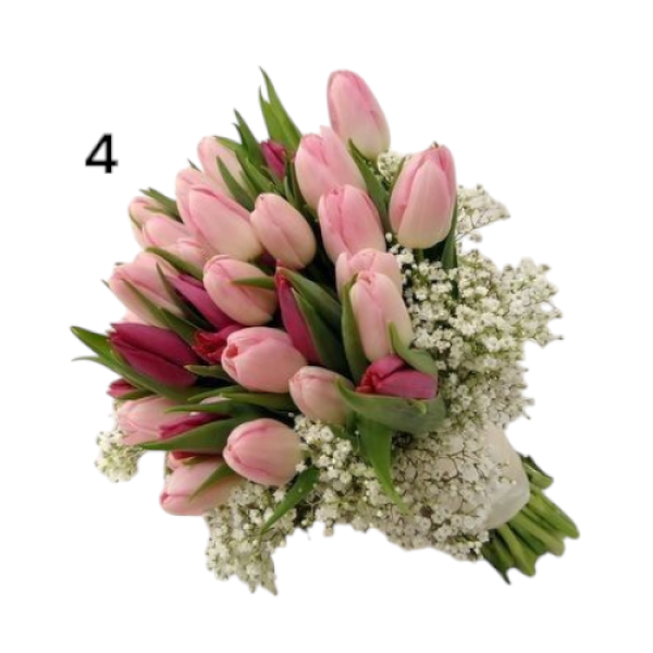 Photoroom-20250221_002059_4