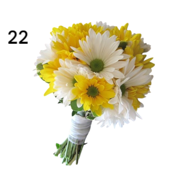 Photoroom-20250221_002100_23