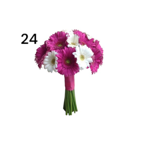 Photoroom-20250221_002100_28