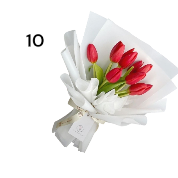 Photoroom-20250221_011201_9