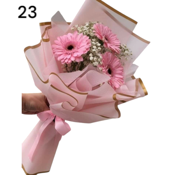 Photoroom-20250221_011202_23