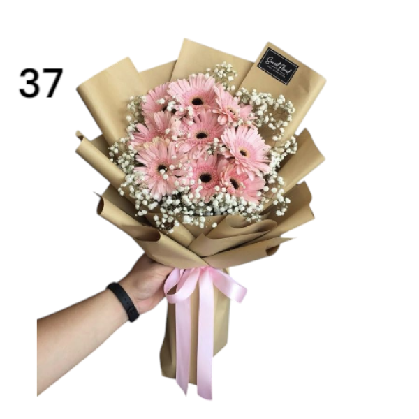 Photoroom-20250221_011203_38