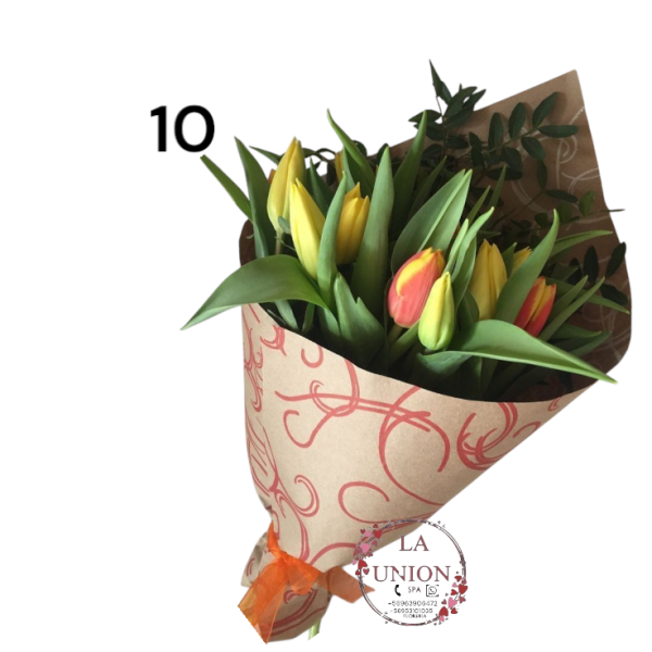 Photoroom-20250223_133020_10